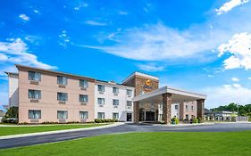 Comfort Suites Cullman Al